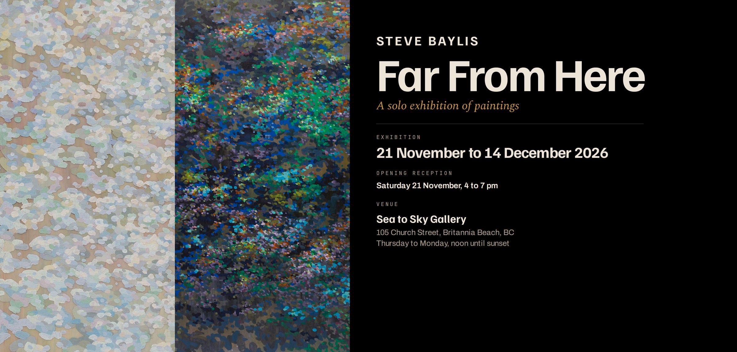 Far From Here: Steve Baylis